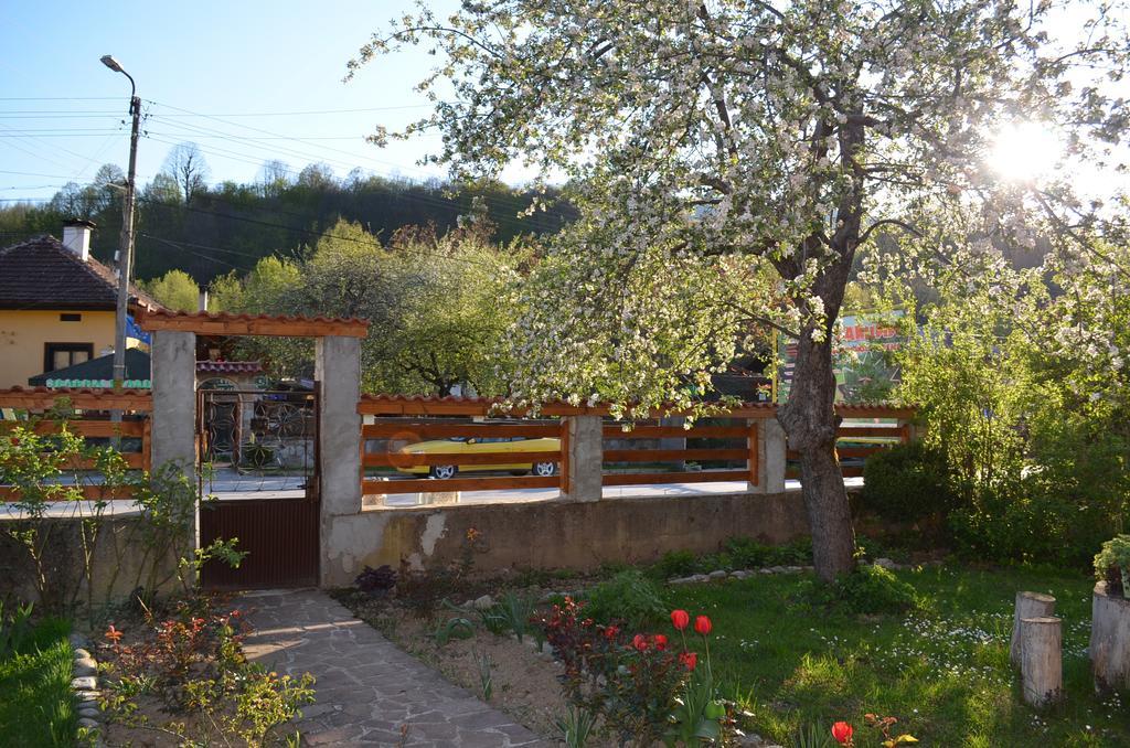 Villa Ribarica Εξωτερικό φωτογραφία