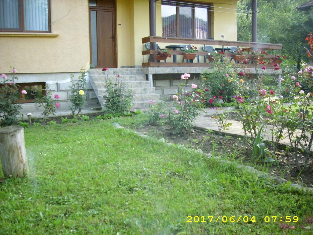 Villa Ribarica Εξωτερικό φωτογραφία