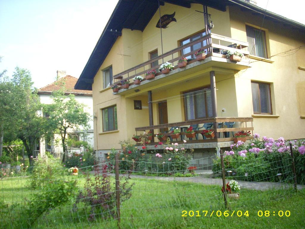 Villa Ribarica Εξωτερικό φωτογραφία