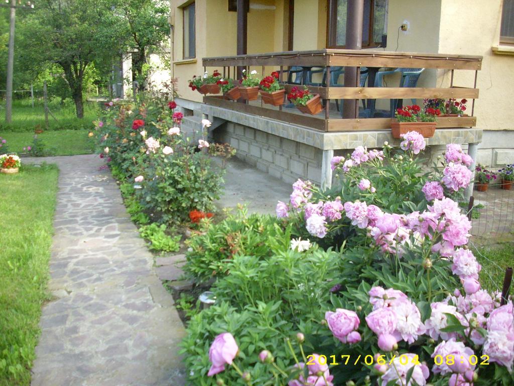 Villa Ribarica Εξωτερικό φωτογραφία