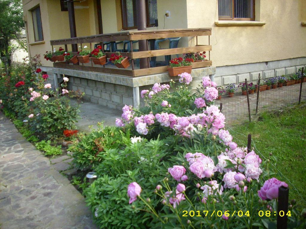Villa Ribarica Εξωτερικό φωτογραφία
