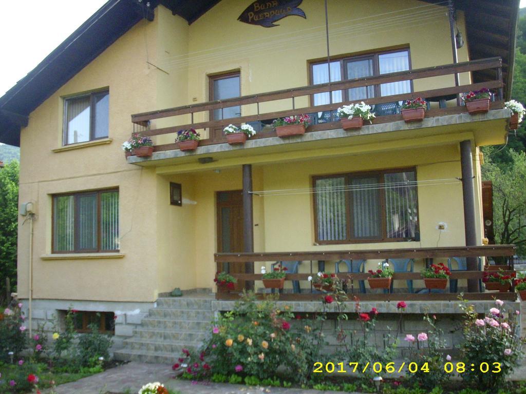Villa Ribarica Εξωτερικό φωτογραφία