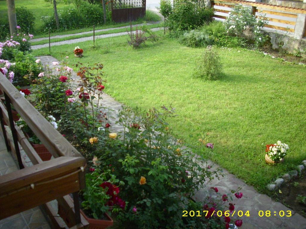 Villa Ribarica Εξωτερικό φωτογραφία