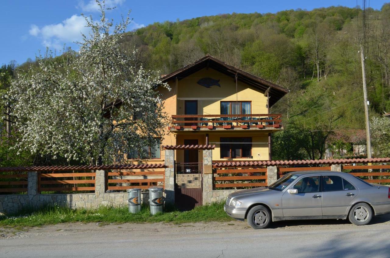 Villa Ribarica Εξωτερικό φωτογραφία